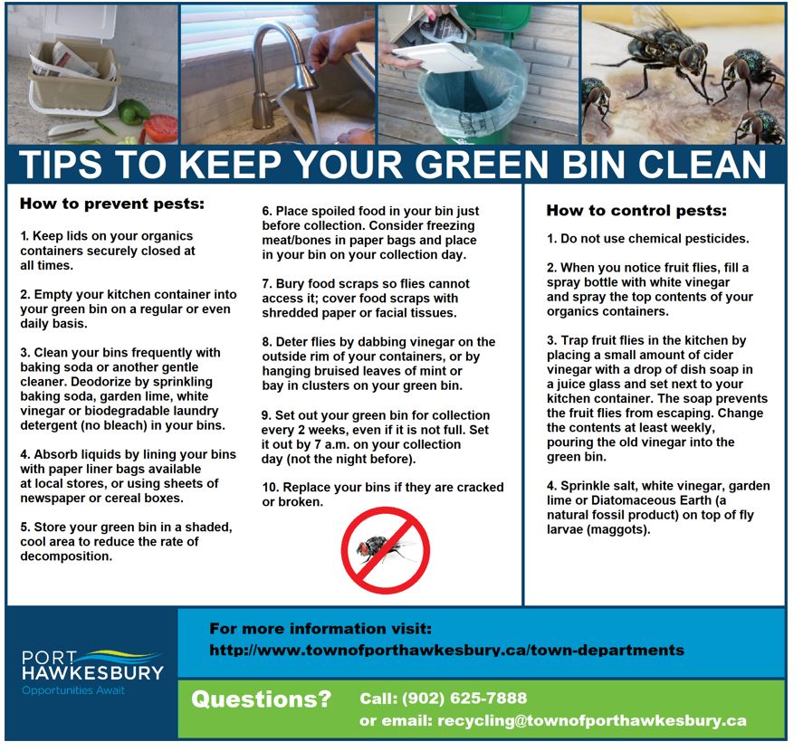 Tips to keep your Green Bin Clean